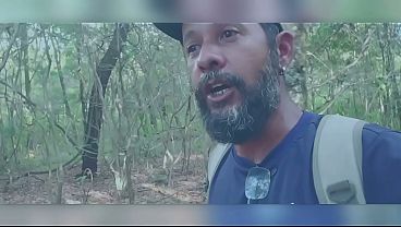 Caminhando E Conversando Na Mata   27 De Janeiro De 2026